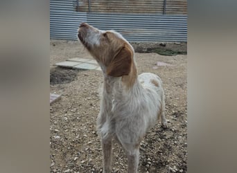Zoe, ein toller Familienfreund