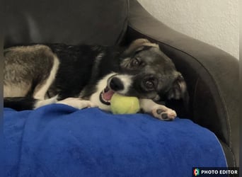 Jette sucht ihr Glück, 24960 Glücksburg