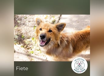 Fiete: Verwandlung durch Verständnis