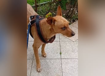 ❤️ CHICO ❤️