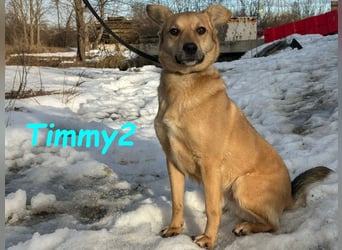 Timmy2 geb. 03/2023 - verspielter, aktiver und fröhlicher junger Rüde!