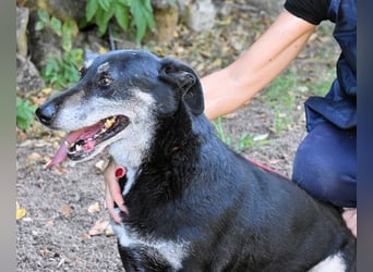 Fonzy- Unikat sucht ebensolches - und Liebe!