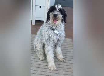 Lillith wünscht sich eine eigene Familie