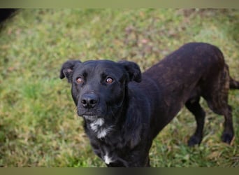 Fritzi: sucht dich!