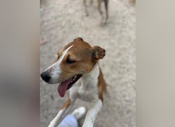 Marley, freundlich und sozial