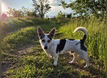 Mara und Max suchen ein Zuhause