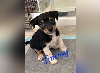 JIMMY – klein, charmant und voller Entdeckerdrang