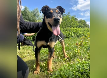 Kenby ein fröhlicher freundlicher Bub