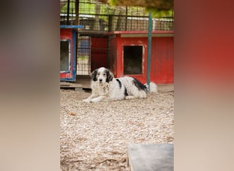 Mina: Ruhige Seele mit großem Herz