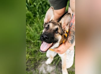 Besondere Deya sucht warmes Körbchen