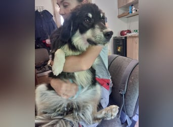 LeeLoo braucht ganz viel Liebe