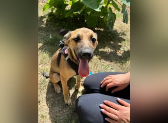 Cleo - unsere wundervolle Frohnatur