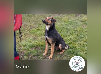 Marie: Die sanfte Seele
