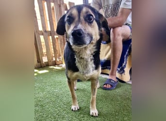 Muffin möchte aus dem Shelter geholt werden