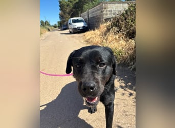 liebe Kenia sucht ihr Zuhause im Glück