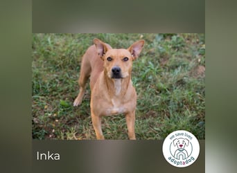 Inka – Ihre Augen leuchten wie ihr Name