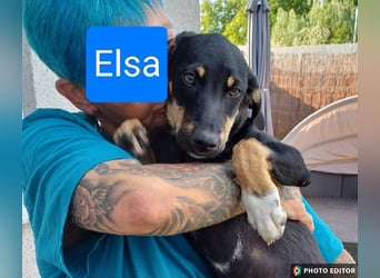 Elsa, kleiner Sonnenschein mit großem Herz
