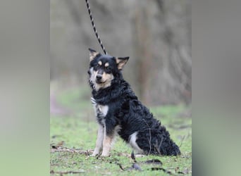 Arthur, geb. 10.03.2024, 48 cm, sucht nach seinen Menschen