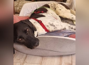 Nina sucht ihre Herzensmenschen