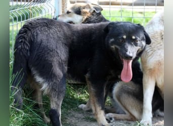 Lola, seit 7 Jahren hinter Gittern