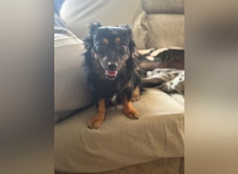 Isabel, sucht ihre Familie