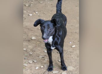 Verspielte FIONA ist neugierig auf die Welt