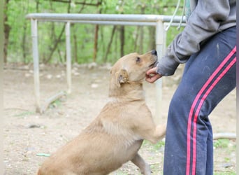 Liebenswerte INESSA ist immer freundlich und verschmust