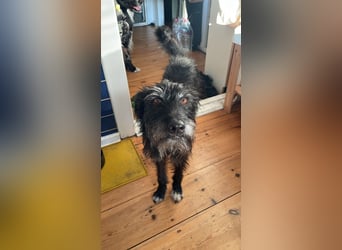 Paty, sucht ihre Herzensmenschen