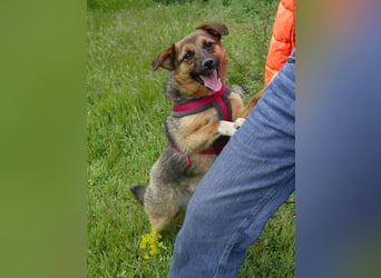 Liebe Ruby sucht eine neue Bleibe