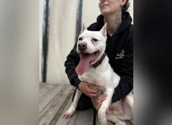Angel sucht Herzensmenschen