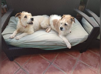 Jess wartet auf ihr Für-Immer-Zuhause