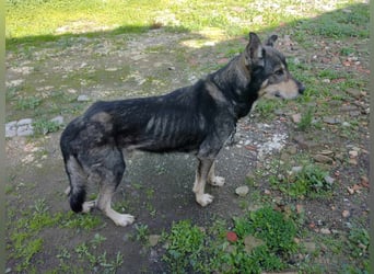 LOBITO