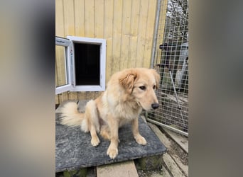 Fly sucht ein neues Zuhause