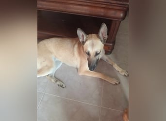 Liebe PRINCESA sucht ihr Traumkörbchen