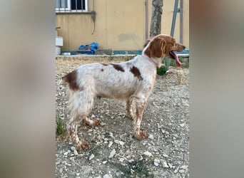 Linda, sucht ihre Familie
