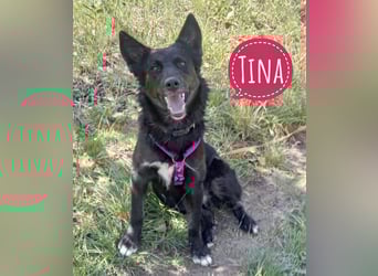 Tina elegant und süß zur gleich