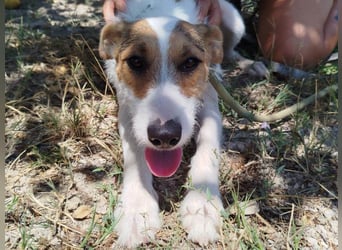 ❤️ PINA ❤️