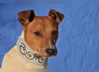 Schenken Sie Freddy ein Leben in Liebe und Geborgenheit?