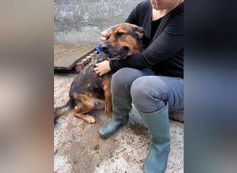 Mega verschmuste Seniorin Nikita