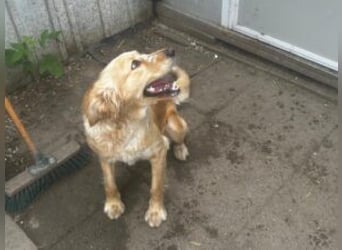 Update Nala: reserviert