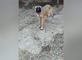 TULIP sucht ihre Menschen