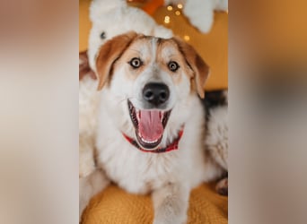 Hallo! Ich bin Brut – und ich bin bereit, dein Herz zu erobern.