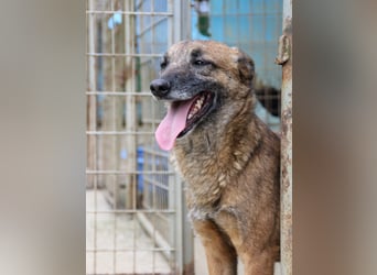 Kuckuck, zauberhafte NISHA sucht liebevolle Familie
