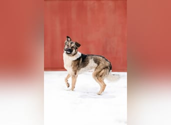 Zärtliche Luna sucht ihre Menschen