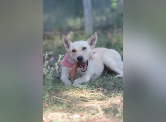 Mila, erwachsene Frau der vielen Facetten