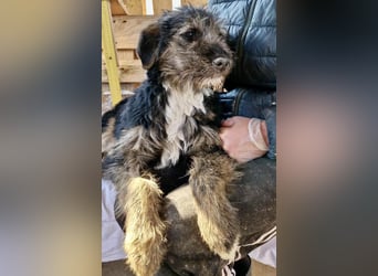 Marcy sucht dringend ihre Menschen