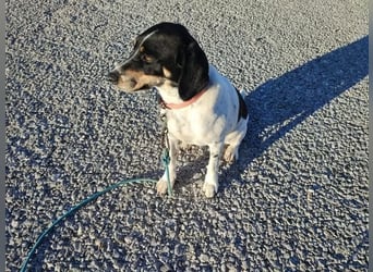 Benny sucht seine aktiven Menschen