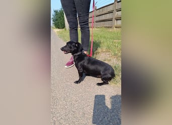 Die liebe Csipesz ist ab August auf einer Ps in 44532 Lünen !