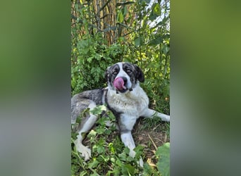 Nobu (Spanien) – der beste Partner, den man sich wünschen kann