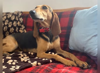 Couch gesucht für CONNIE